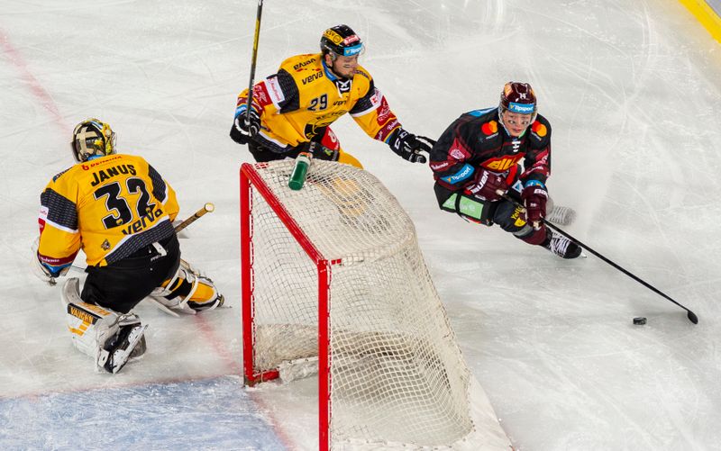 Eishockey Wetten Tipps